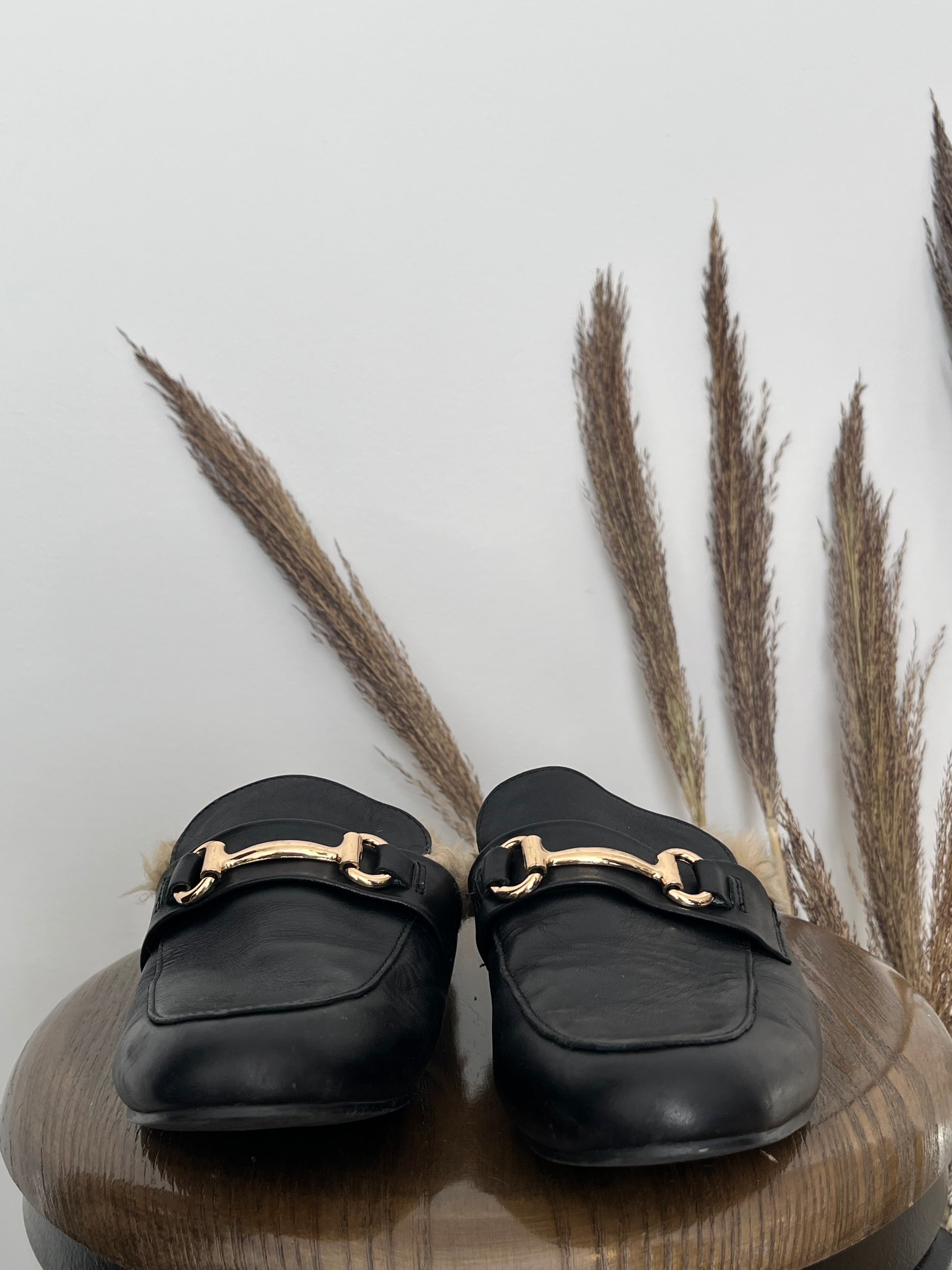 Souliers Steve Madden - Vue avant sur fond blanc